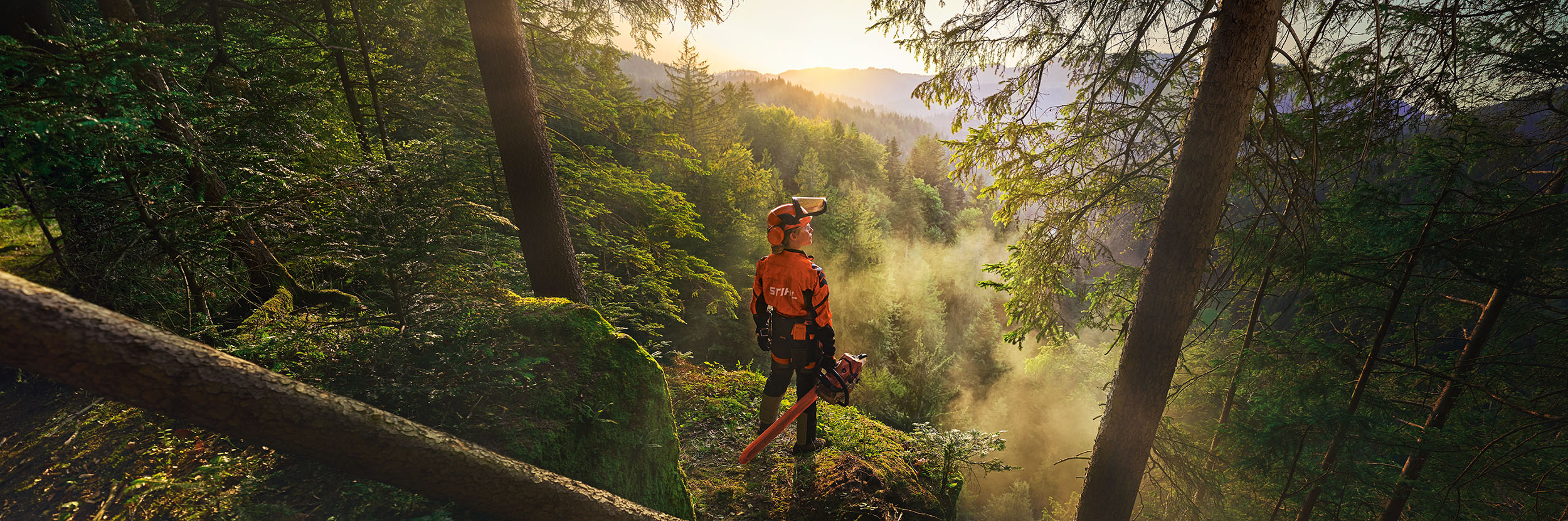 Une femme se tient au bord d'une falaise, au milieu d'une forêt d'un vert intense. Elle porte une tenue de travail orange STIHL, un casque d'écoute ADVANCE ProCom et tient une tronçonneuse STIHL MS.