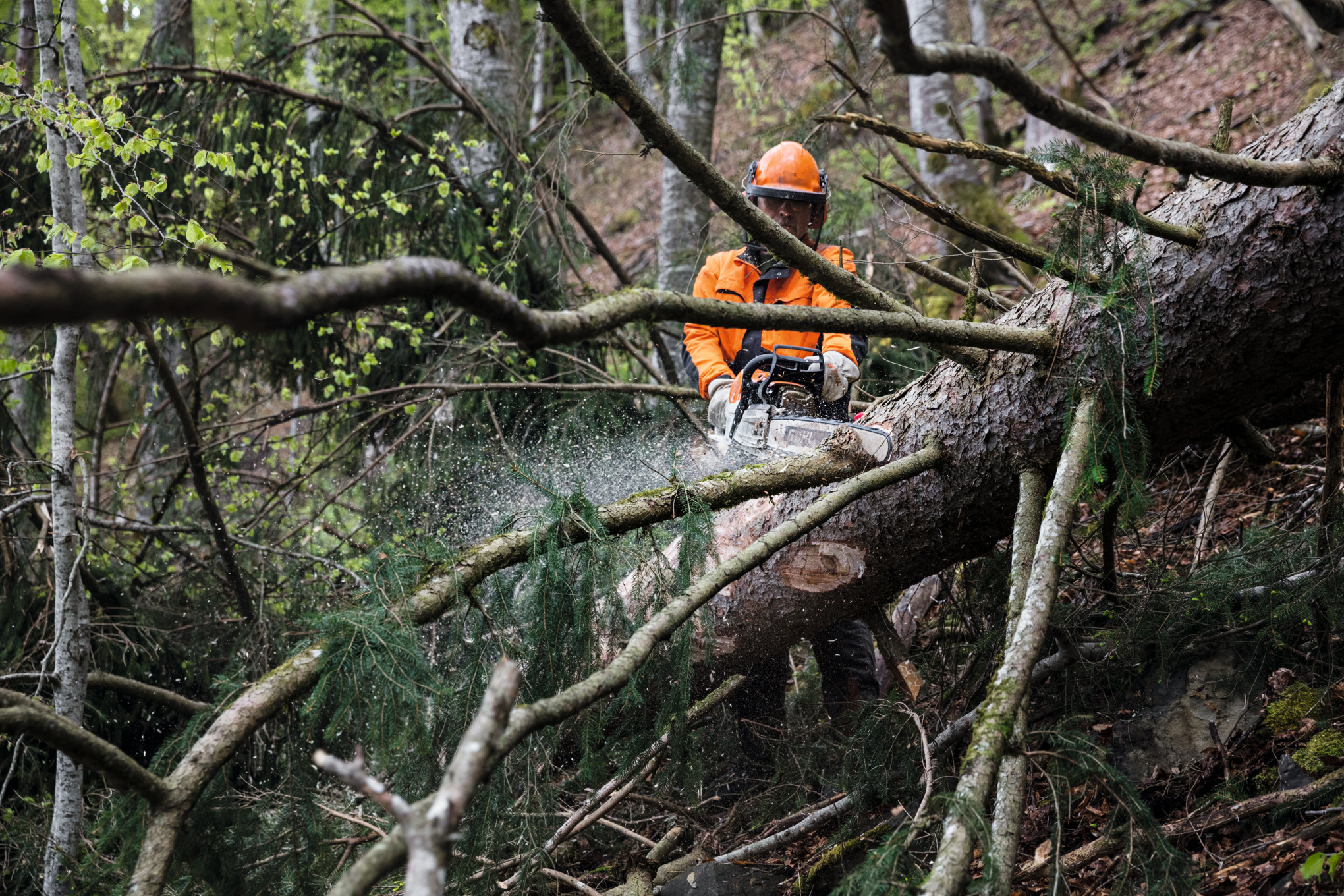 Vehicle with STIHL high pruner HTA 135, hedge trimmer HLA 135, motor scythe FSA 135 and KMA 135 on the loading area