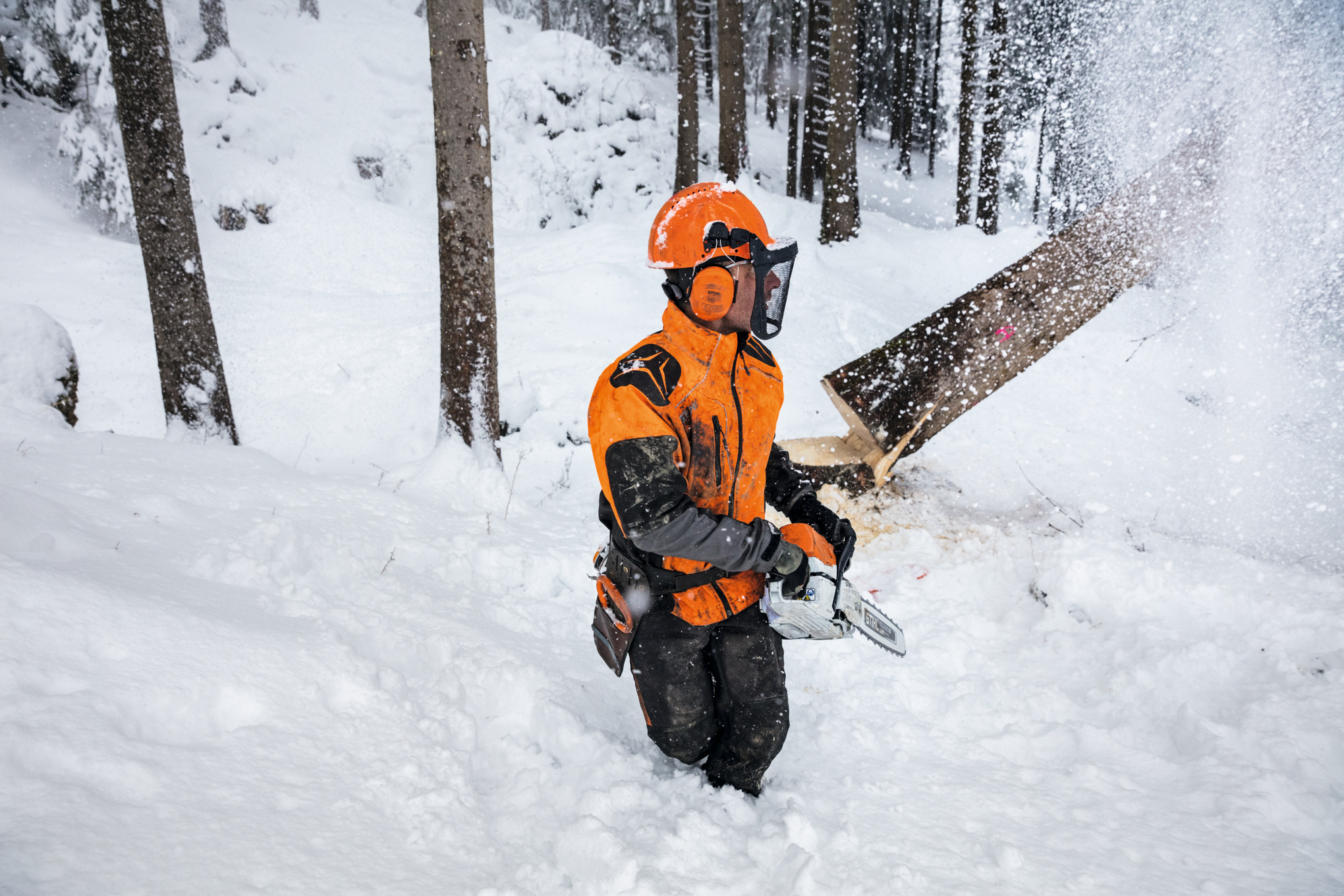 A Person hold a STIHL chainsaw in the winter forest.