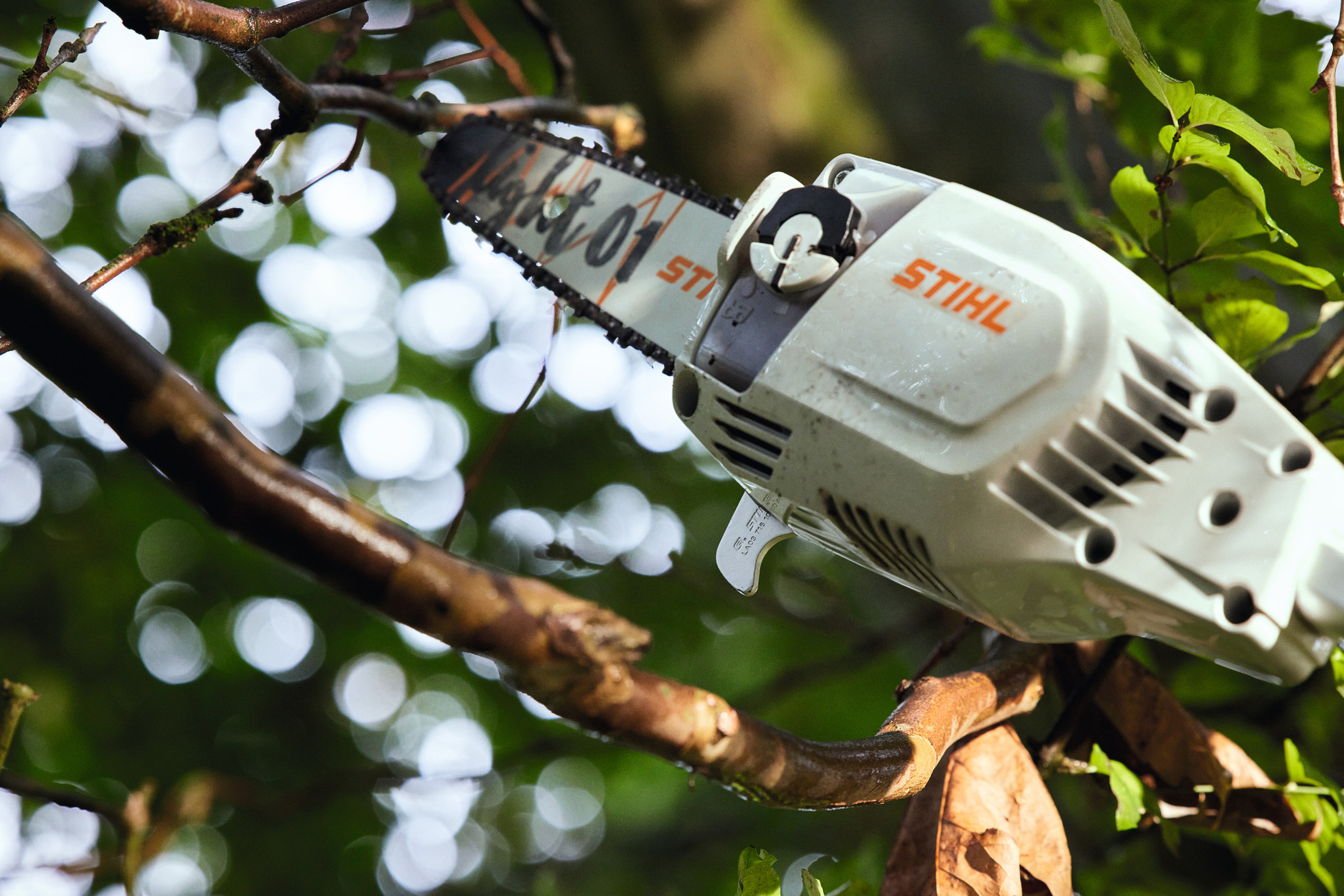 HTA 86: Powerful cordless pole pruner