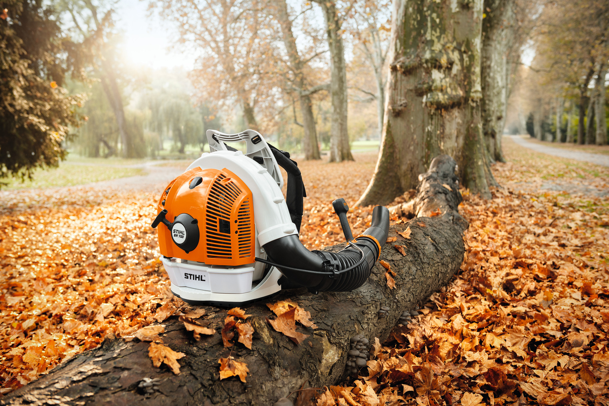 Souffleur thermique à dos BR 700- Stihl - 64,8cc Stihl