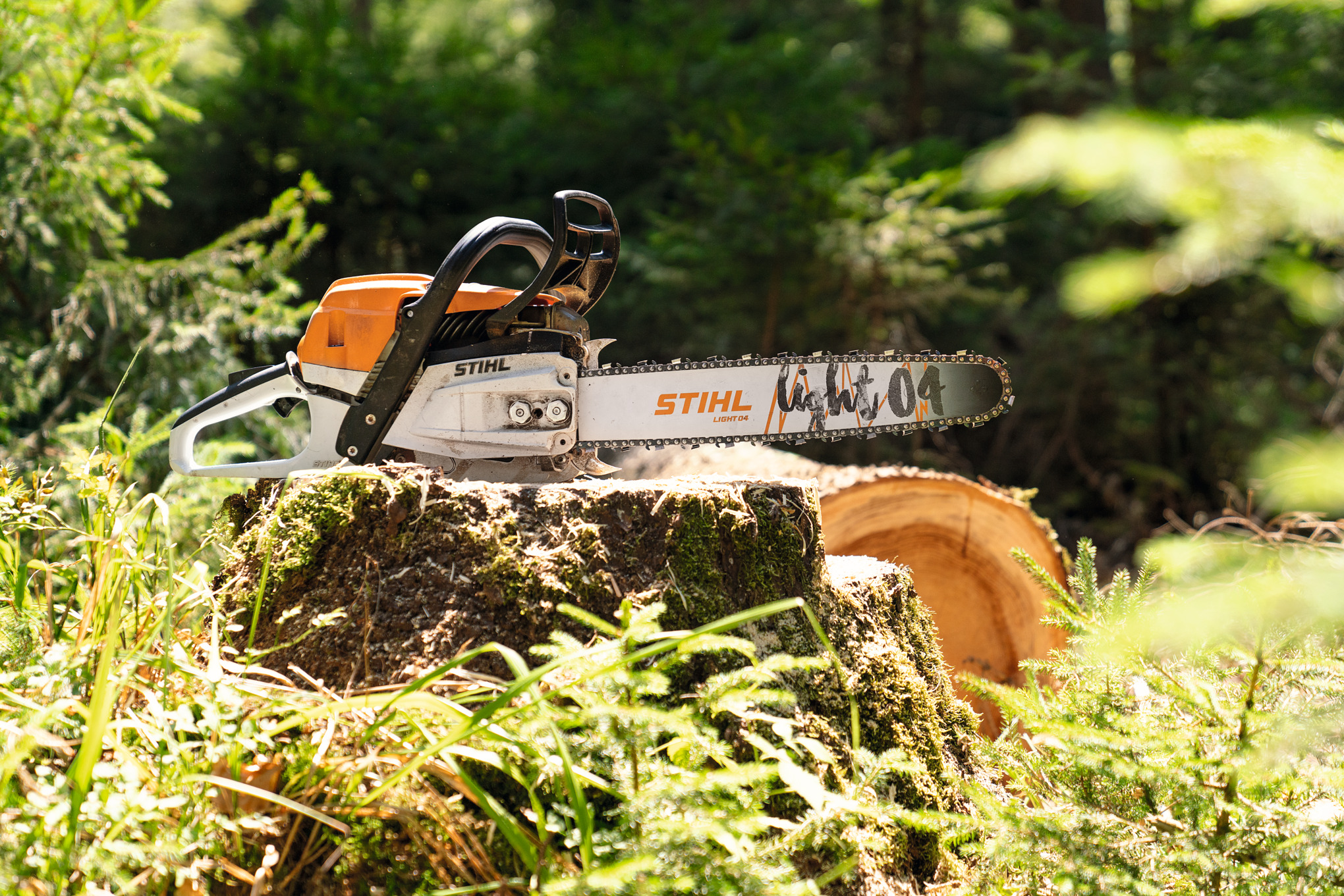 A STIHL MS 261 C-M petrol chainsaw on a tree stump in the forest