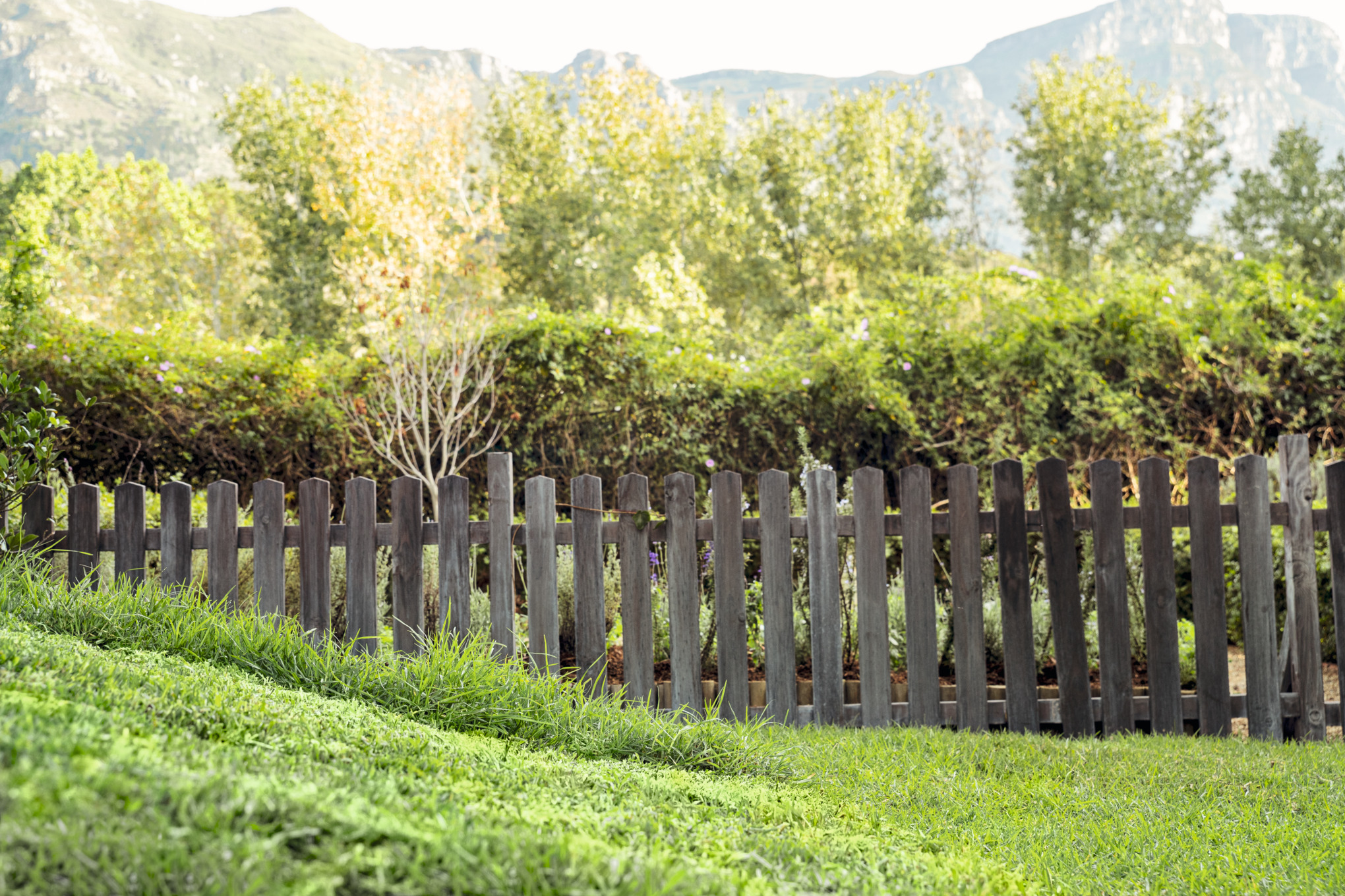 Uneven lawn in front of a wooden fence, trees and mountain panorama in the background