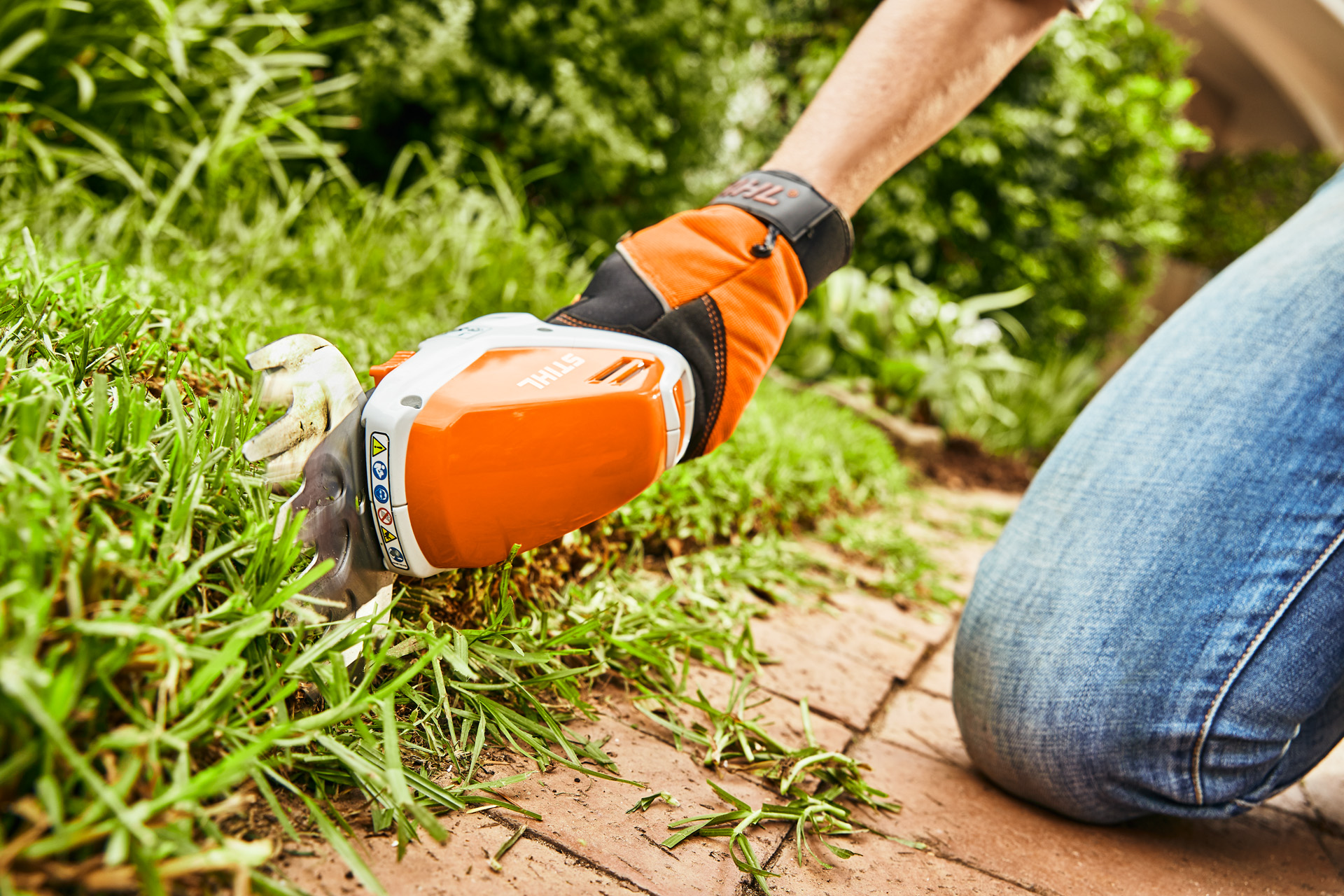Cutting lawn edges with a current bestseller: the STIHL HSA 26 battery-powered shrub shears