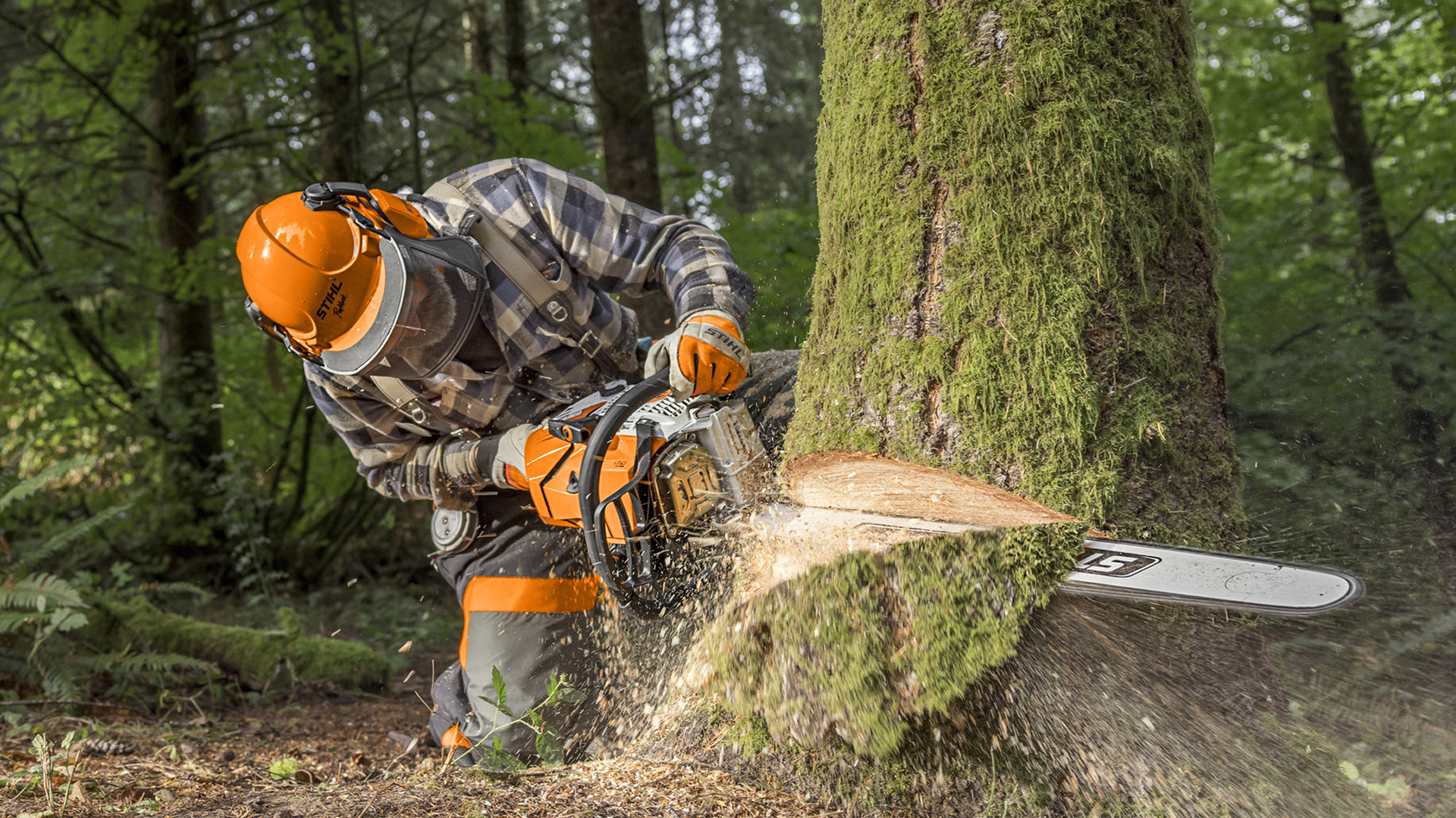 STIHL Battery Chainsaw.