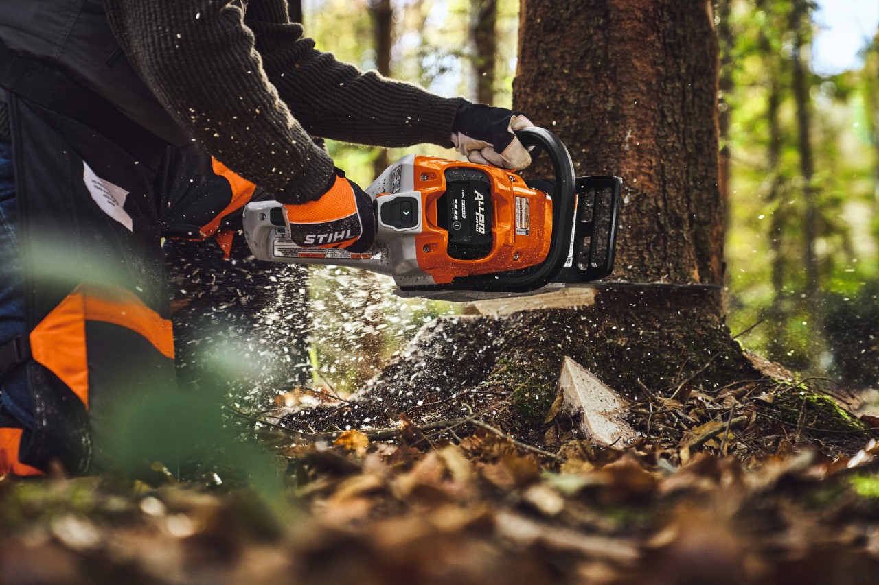 Tree felling using the STIHL ALLPRO MSA 260 chainsaw