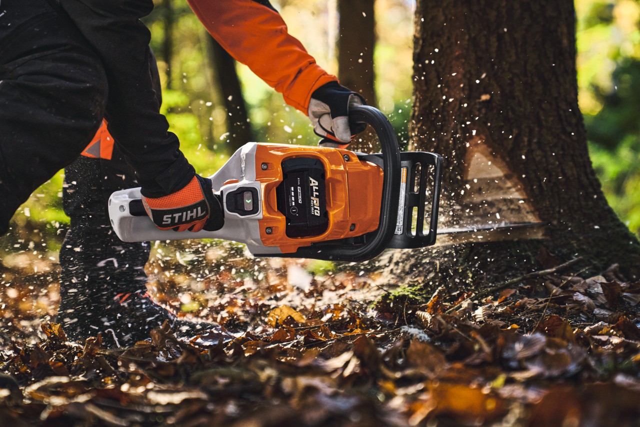 A professional user is cutting down trees in the forest with the STIHL MSA 260 cordless chainsaw.