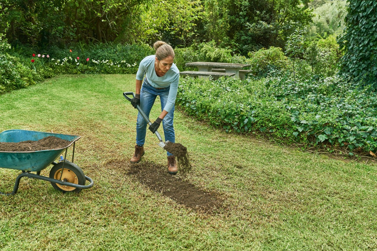 Lawn repair