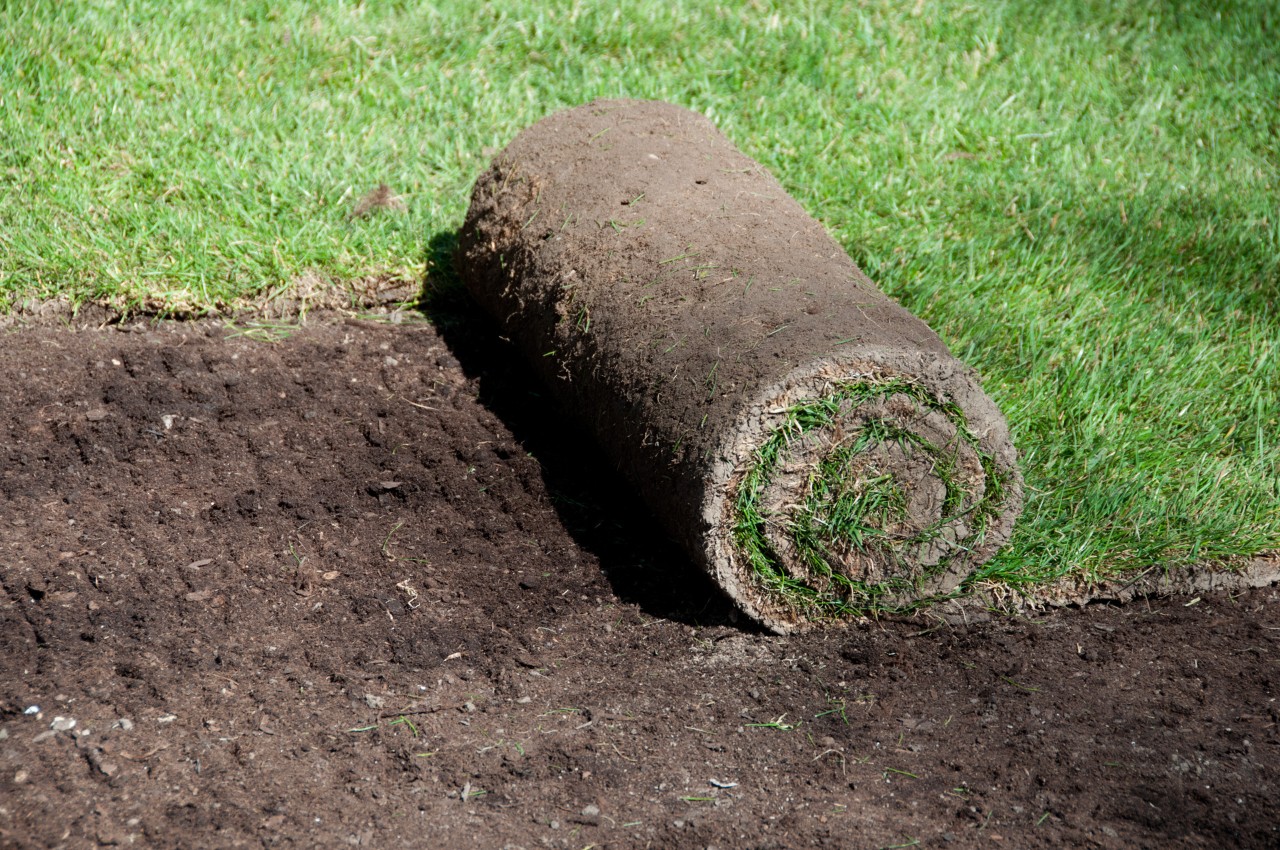 Lawn repair