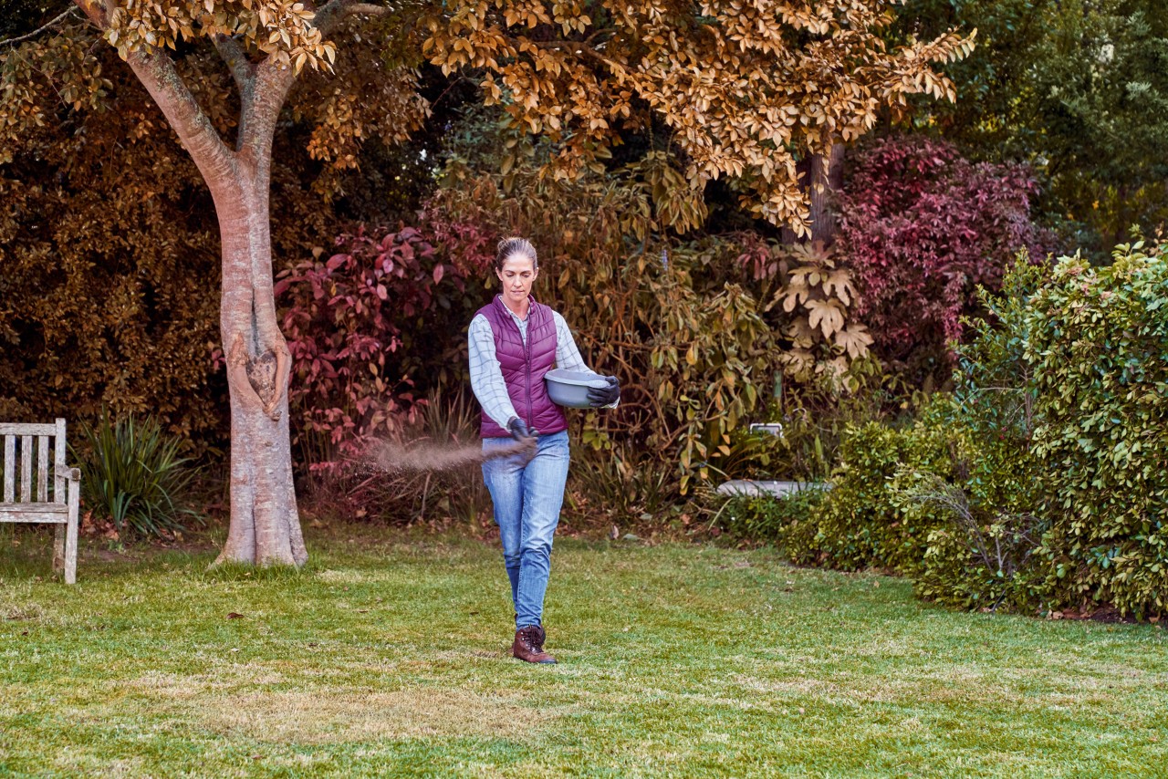 Dans le cadre de l’entretien de fin d’année de son gazon, une femme traite l’herbe avec de l’engrais pour gazon d’automne