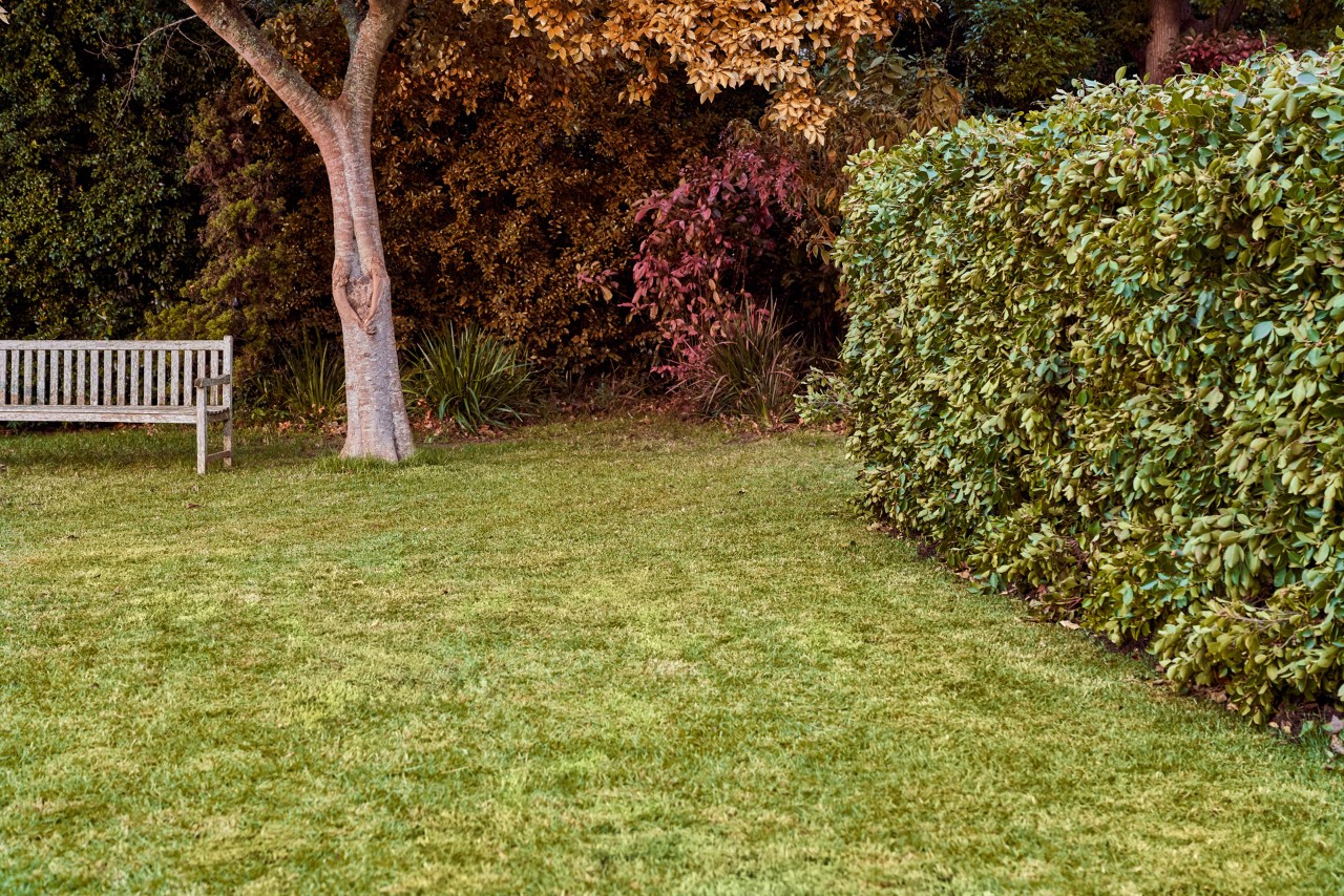 Battery, AK-System, AK, Private users, Private, leisure gardeners, occasional users, Garden , Meadow
