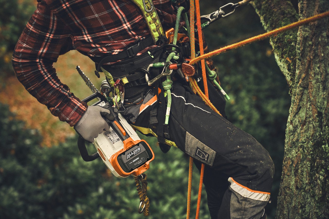 Gros plan sur une personne en train de grimper à un arbre avec la tronçonneuse sans fil STIHL MSA 190 T.